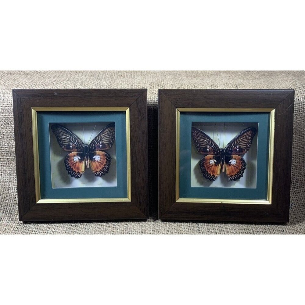 Paper Butterfly in 5.5” Shadow Box Frame Paper Tole Butterflies Set of 2